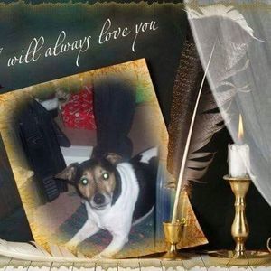 Meet your Posher, Tamara